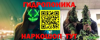 гидропоника Моздок
